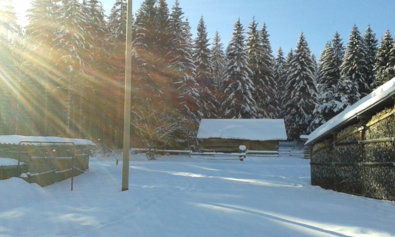 Ferienwohnung Gabi Форбаш Экстерьер фото